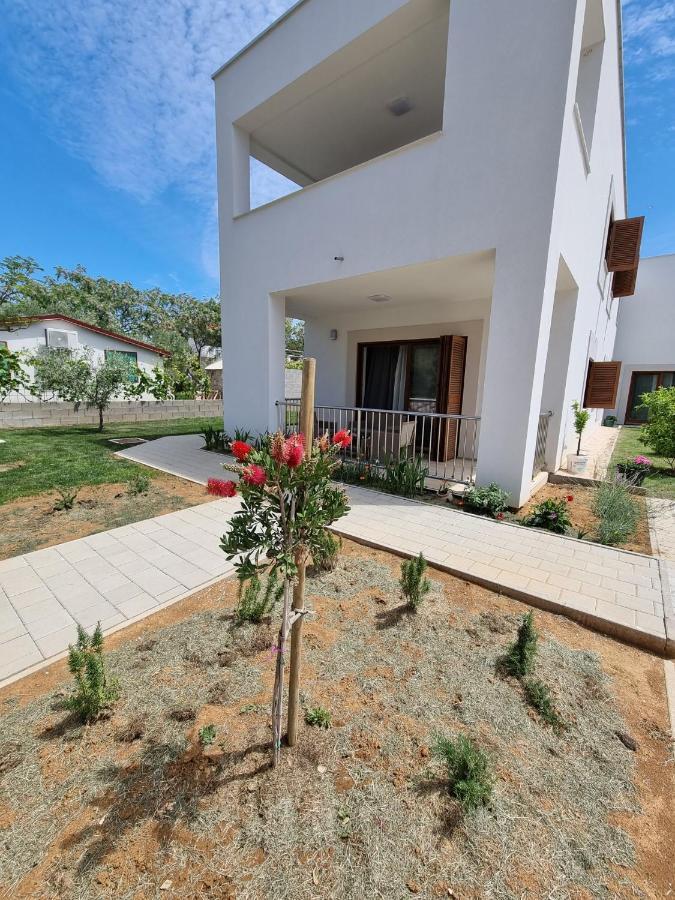 Apartments Leticia Vrsi Extérieur photo